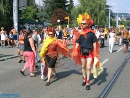 IMG_3544