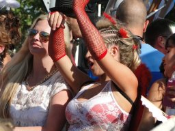 DSC05556